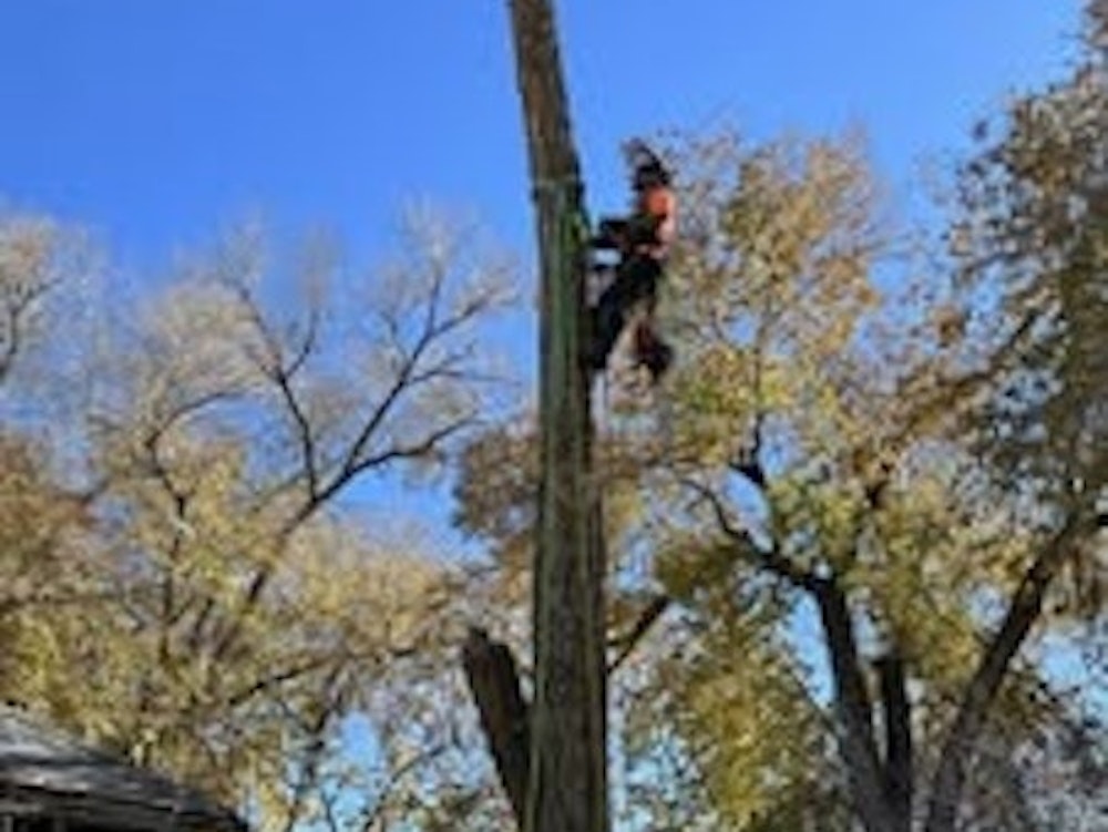 JT Tree Service