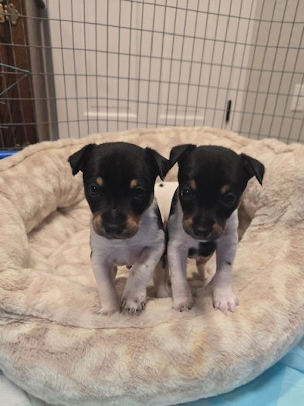 2 boys left.