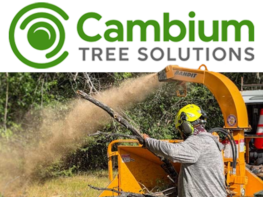 EXPERT TREE CARE GRAND JUNCTION