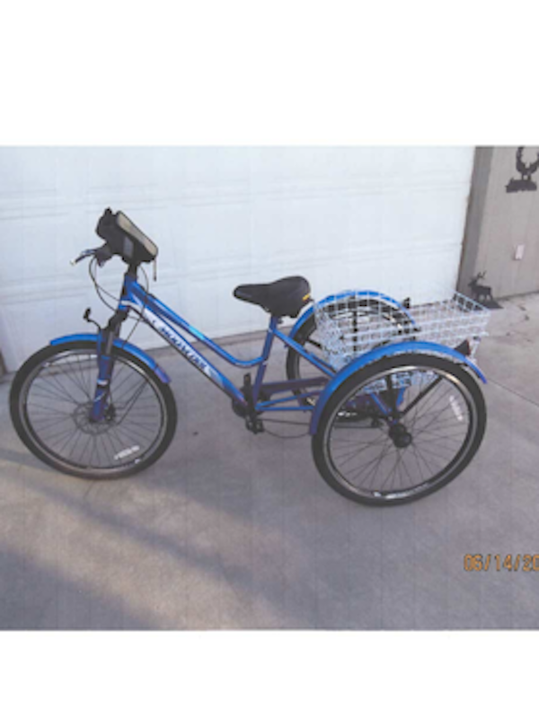 3 Wheel Trike